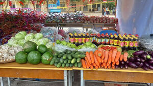 z7085609192271_b1bda356934e72d2996685623bb9850c_57857